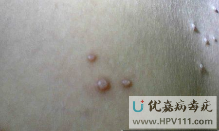 ��Ⱦ����������Ʒ���