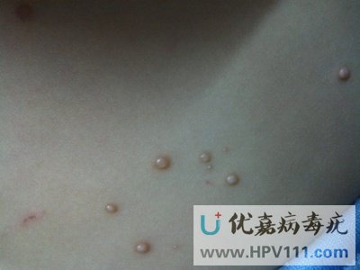 ��Ⱦ�������Ǳ����