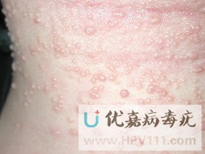 ��Ⱦ����������