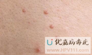 ��Ⱦ���������Ʒ���