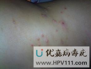 ��Ⱦ���������������