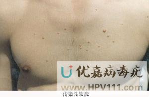 ��Ⱦ�������ܲ����Լ���